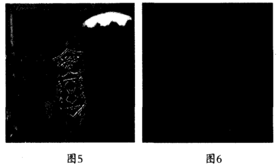 基于Henon映射和Rossler混沌映射的数字图像加密