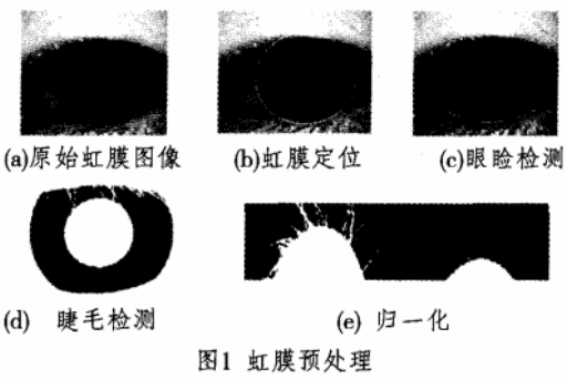 军事图像加密技术之虹膜特征密钥加密