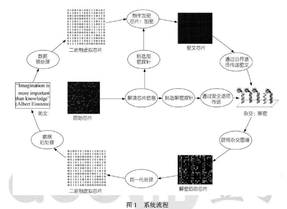 对称加密方法中DNA技术的应用