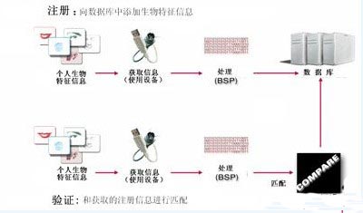详解生物特征加密技术之指纹识别技术