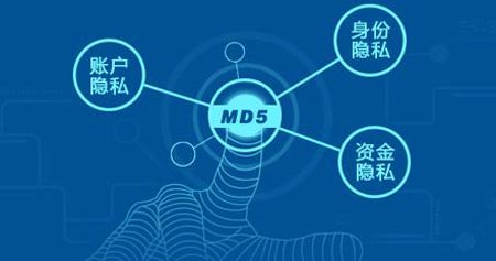 浅析MD5加密算法在软件注册中的应用