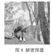 数字图像加密新算法之多级多层置乱加密