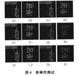 多幅图像的同步加密如何利用距离复用实现