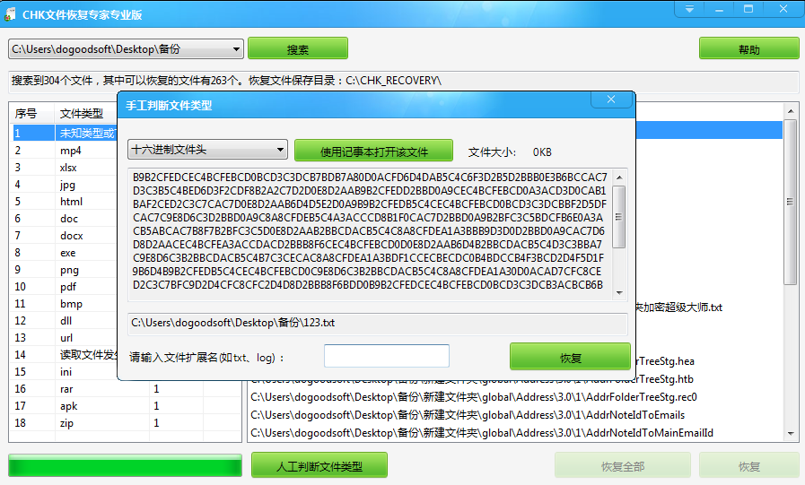 CHK文件恢复专家之未知类型的数据怎么办?