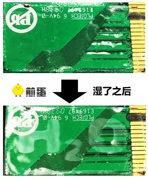 What?从水母皮肤也可以发现加密技术？