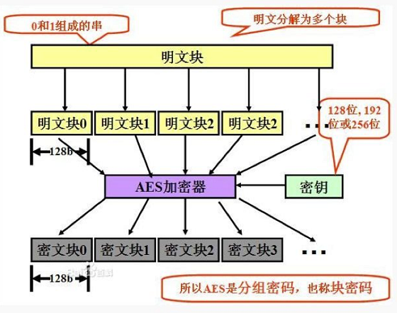 希尔加密算法与人口迁徙_希尔排序算法详细图解(2)