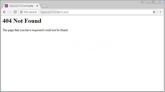 404Not Found 页面,可能是黑客伪装的 WebShell 登录界面