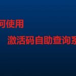 如何使用激活码自助查询系统？