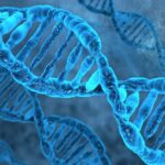 DNA存储——比特币私钥存储有了新方式