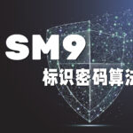 简述SM9标识密码算法