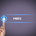 简述MIBS加密算法