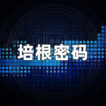 简述培根密码