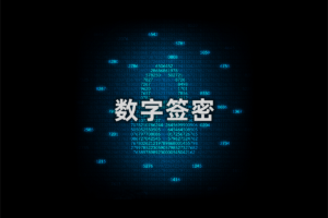简述数字签密技术