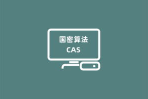 国密算法在CAS系统中的应用