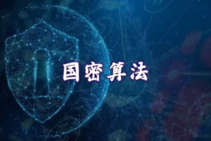 国密算法在国库系统中的应用