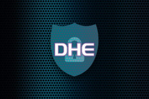 简述DHE算法