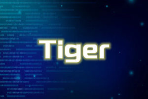 简述Tiger哈希算法