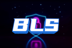简述BLS签名算法