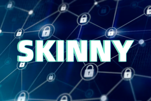 简述SKINNY加密算法