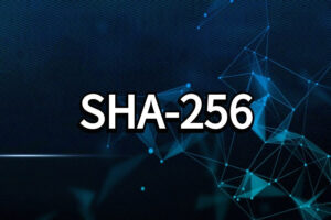 了解SHA-256算法