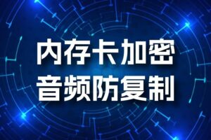 唱戏机上的内存卡怎么加密，防止别人复制音频
